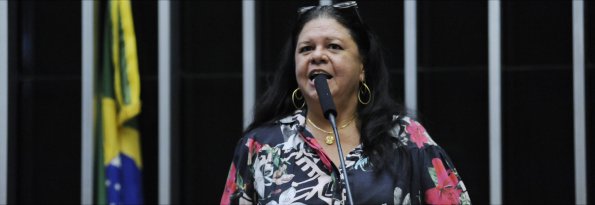 Laura Carneiro, projeto mostra como é fácil produzirr legislação decente que ajude as pessoas