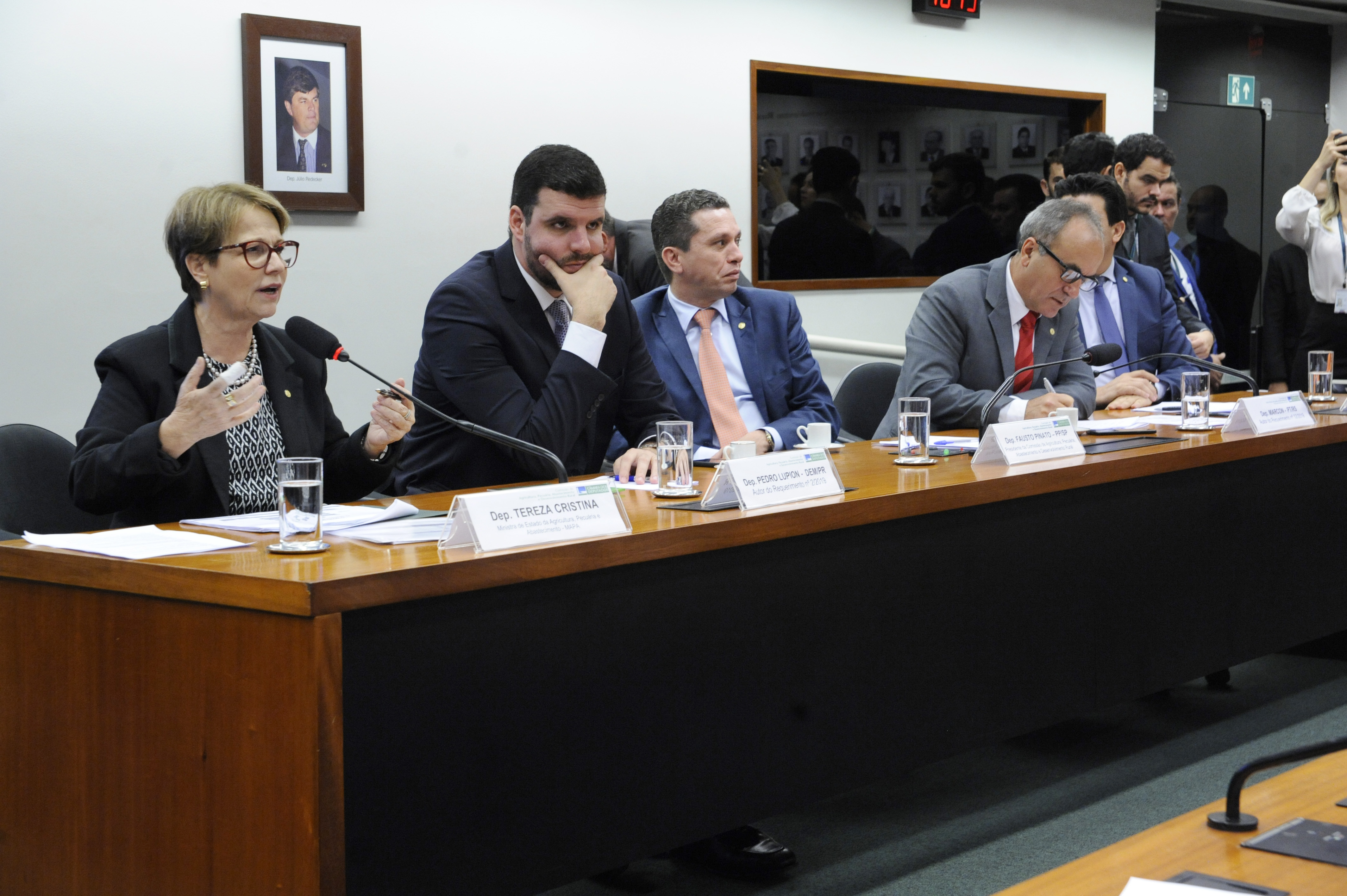 Tereza Cristina: em governos anteriores, 